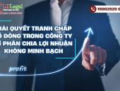 Giải quyết tranh chấp cổ đông trong công ty vì phân chia lợi nhuận không minh bạch