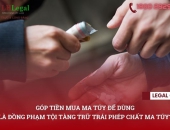 Góp tiền mua ma túy để dùng là đồng phạm tội tàng trữ trái phép chất ma túy