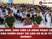 Học sinh, sinh viên là đồng phạm lừa đảo chiếm đoạt tài sản có bị đi tù không?