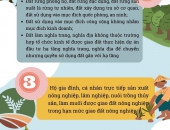 Infographic: 5 trường hợp giao đất không thu tiền sử dụng đất