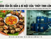 Infographic: Ngâm ốc bằng thủy tinh lỏng bị xử phạt như thế nào?