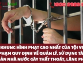 Khung hình phạt cao nhất của Tội vi phạm quy định về quản lý, sử dụng tài sản Nhà nước gây thất thoát, lãng phí