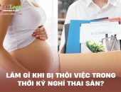 Làm gì khi bị thôi việc trong thời kỳ nghỉ thai sản?