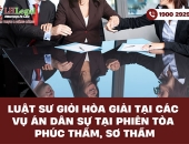 Luật sư giỏi hòa giải tại các vụ án dân sự tại phiên tòa phúc thẩm, sơ thẩm