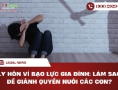 Ly hôn vì bạo lực gia đình: Làm sao để giành quyền nuôi các con?