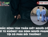 Mắc bệnh tâm thần giết người có ở tù không? Gia đình người phạm tội có phải bồi thường?