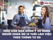 Mẫu văn bản đồng ý sử dụng người chưa đủ 13 tuổi làm việc theo Thông tư 09
