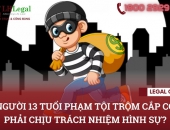 Người 13 tuổi phạm tội trộm cắp có phải chịu trách nhiệm hình sự?