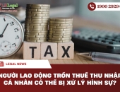 Người lao động trốn thuế thu nhập cá nhân có thể bị xử lý hình sự?