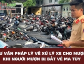 Tư vấn pháp lý về xử lý xe cho mượn khi người mượn bị bắt về tội ma túy