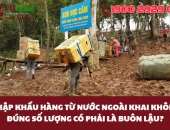 Nhập khẩu hàng từ nước ngoài khai không đúng số lượng có phải là buôn lậu?