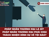 Pháp nhân thương mại là gì? Pháp nhân thương mại phải chịu trách nhiệm hình sự về tội nào?