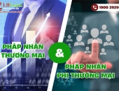 Pháp nhân thương mại và phi thương mại: So sánh chi tiết