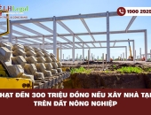 Fines of up to 300 Million VND for Building Temporary Houses on Agricultural Land in Vietnam