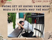 Phòng xét xử không vành móng ngựa có ý nghĩa như thế nào?