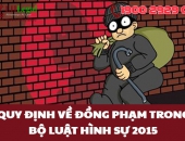 Quy định về đồng phạm trong Bộ luật Hình sự 2015