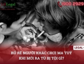 Rủ rê người khác chơi ma tuý khi mới ra tù bị tội gì?