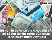 Rủi ro tín dụng là gì? 4 nguyên tắc xử lý rủi ro tín dụng của Ngân hàng Phát triển Việt Nam