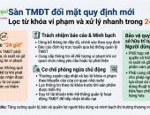 Sàn TMĐT đối mặt quy định mới: Lọc từ khóa vi phạm và xử lý nhanh trong 24h.