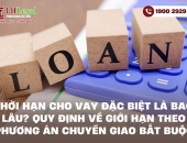 Thời hạn cho vay đặc biệt là bao lâu? Quy định về giới hạn theo phương án chuyển giao bắt buộc