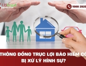 Thông đồng trục lợi bảo hiểm có bị xử lý hình sự?