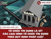 Tổ chức tín dụng là gì? Các loại hình tổ chức tín dụng theo quy định pháp luật