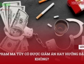 Tội phạm ma túy có được giảm án hay hưởng đặc xá không?