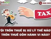 Tội trốn thuế bị xử lý thế nào? Trốn thuế gồm những hành vi nào?