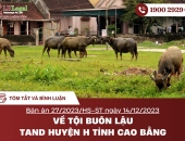 Tóm tắt và bình luận bản án 27/2023/HS-ST ngày 14/12/2023 về tội buôn lậu