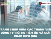 Tranh chấp giữa các thành viên công ty: Rủi ro tiềm ẩn và Giải pháp hiệu quả