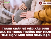 Tranh chấp về việc xác định cha, mẹ trong trường hợp mang thai hộ vì mục đích nhân đạo
