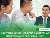 Các trường hợp hợp đồng bảo hiểm vô hiệu theo quy định pháp luật