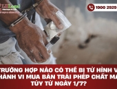 Trường hợp nào có thể bị tử hình vì hành vi mua bán trái phép chất ma túy từ ngày 1/7?