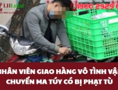 Vô tình vận chuyển ma túy có bị phạt tù không?