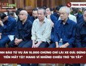Vụ án cấp 16.000 chứng chỉ lái xe trái phép: Các bị cáo có thể đối diện mức án như thế nào?