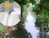 Vụ thi thể bé gái 8 tuổi trong bao tải vứt dưới mương nước: Nghi phạm anh họ có thể bị xử lý ra sao?