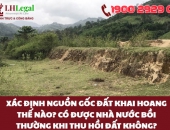 Xác định nguồn gốc đất khai hoang thế nào? Có được Nhà nước bồi thường khi thu hồi đất không?