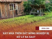 Xây nhà trên đất nông nghiệp bị xử lý ra sao?